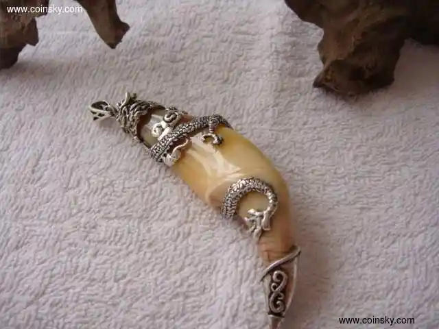 包银熊牙盘龙款