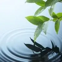 微信头像情头像意境_微信头像图片大全