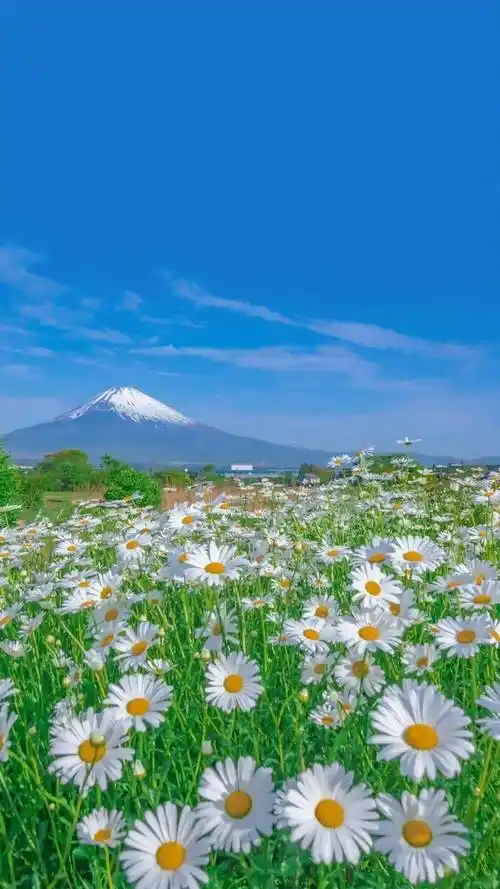 风景壁纸全屏手机壁纸场景