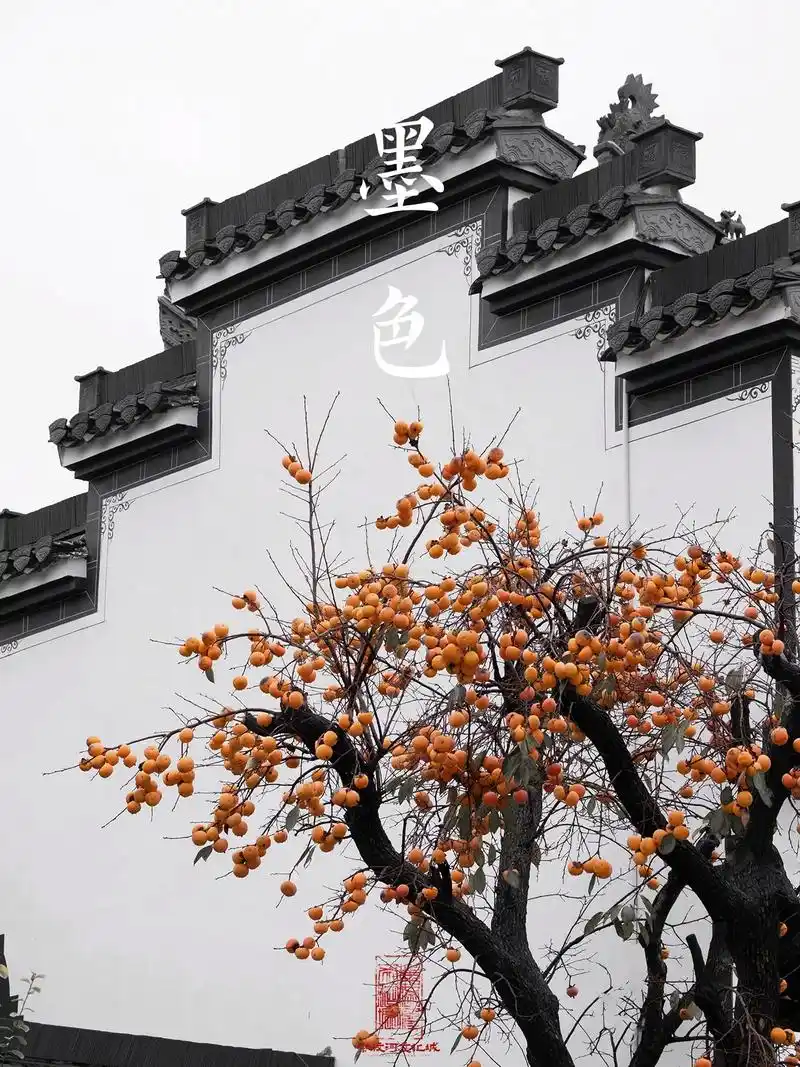 一滴水墨画江南,白墙黛瓦马头墙.这里是画家笔下的徽派建筑   - 抖音