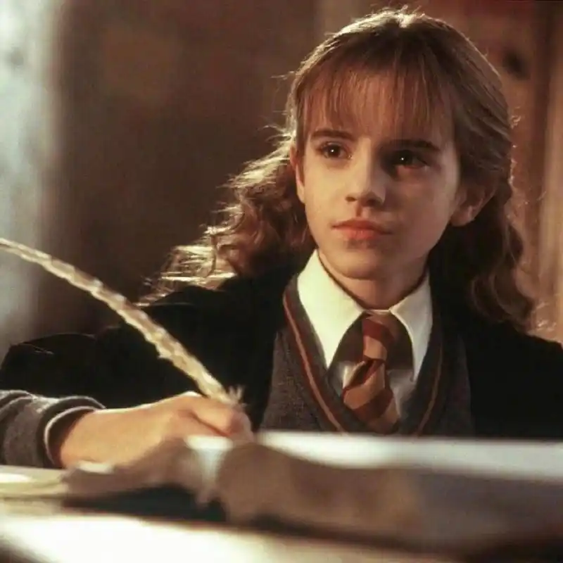 赫敏·格兰杰 ——《哈利波