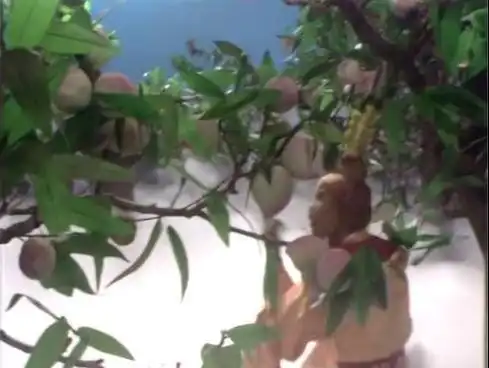 西游记里的蟠桃是这样做出来的剧组当年可谓是花了血本