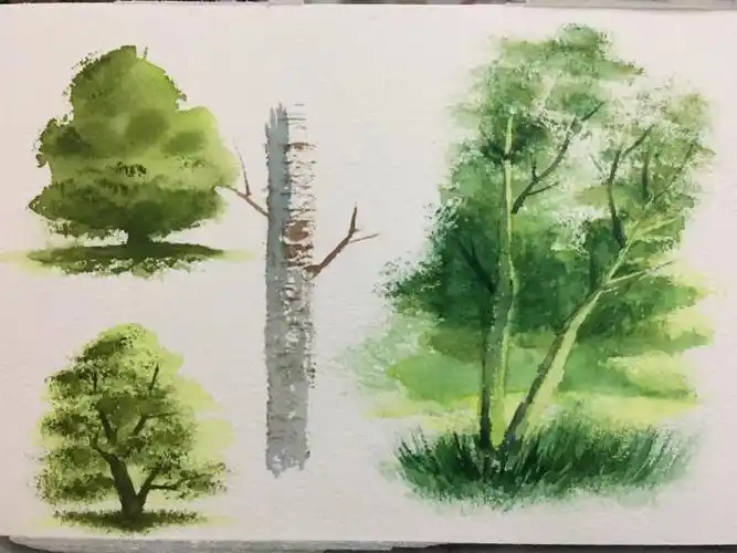 水彩树练习