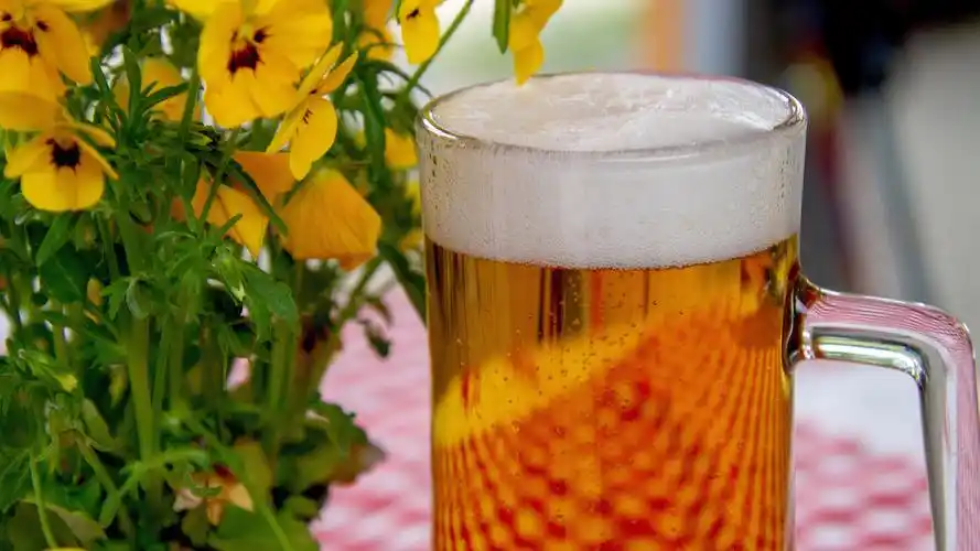 清凉解暑的啤酒图片 - 第19张