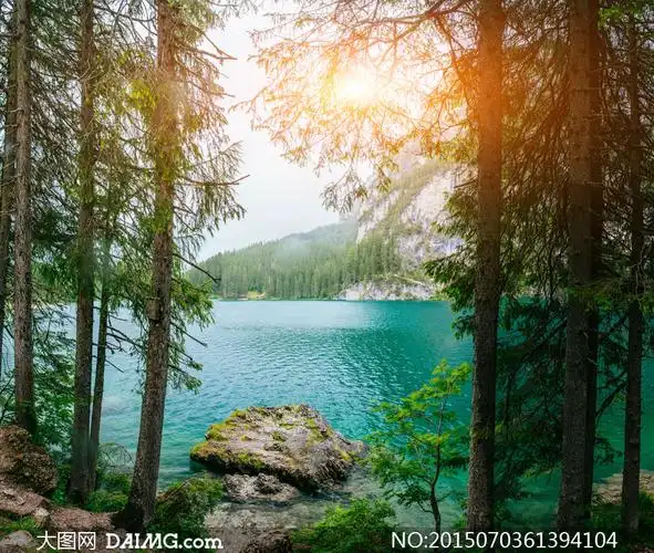 大山湖水树木自然风景摄影高清图片_大图网图片素材