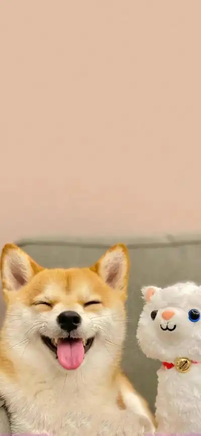 聊天背景图可爱平铺