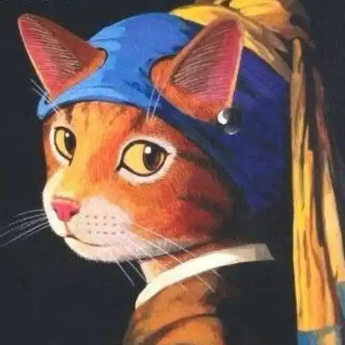 戴珍珠耳环的少猫