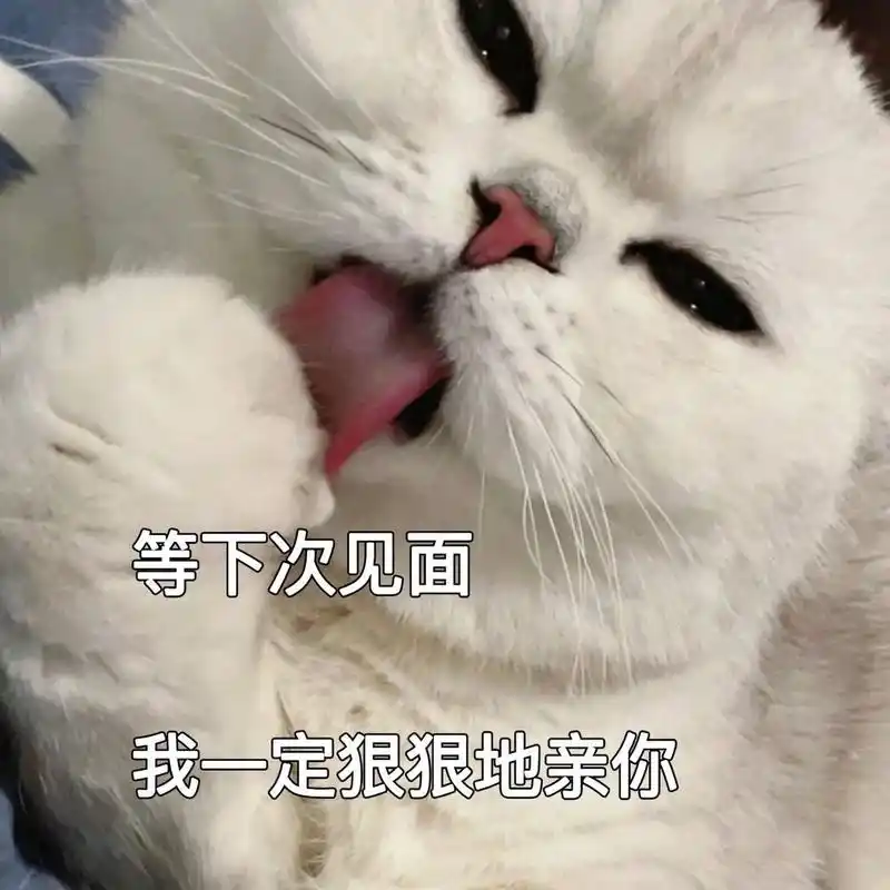 表情包 | 撩妹必备get√ 找了好久的表情包 嘿嘿 看完快艾特给你的