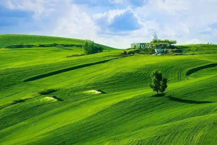 醉美新疆-梦幻伊犁 | 赛里木湖-夏特大峡谷-魔鬼城-薰衣草-喀拉峻-琼