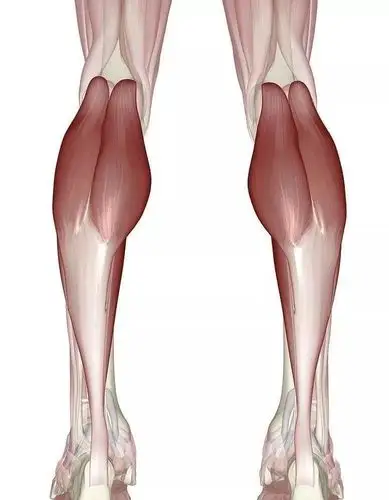 健身小知识肌肉型脂肪型浮肿型小腿怎么破