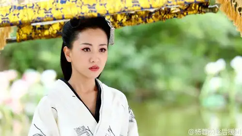 杨蓉 饰 霍成君