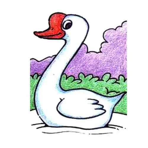 白鹅的简笔画 白鹅的简笔画怎么画