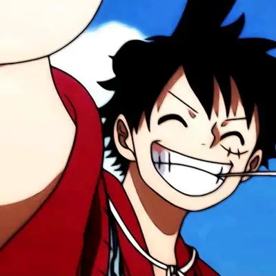 花见海贼王男头