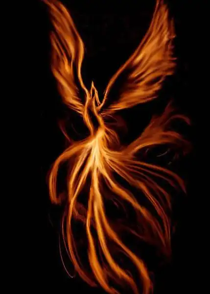 凤凰图片素材火凤凰图片素材ps凤凰素材