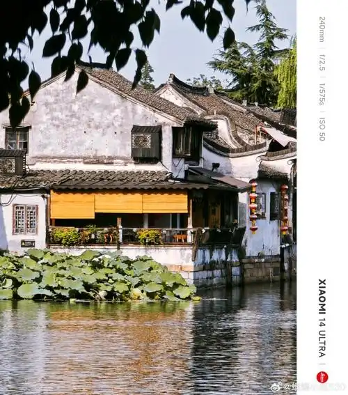 悠悠然的夏日,当然少不了江南水乡的影子!