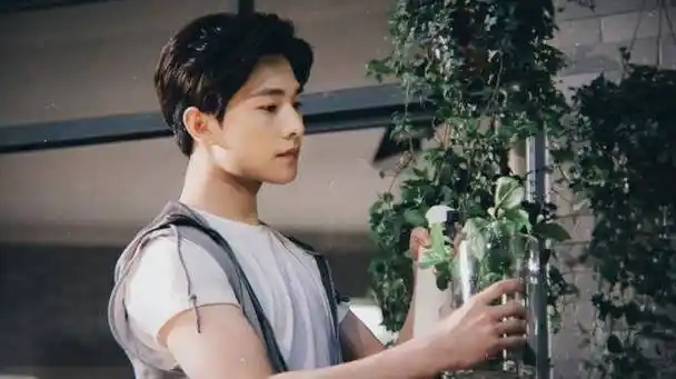 杨洋闪耀荧屏的演技新星公益事业的热心使者