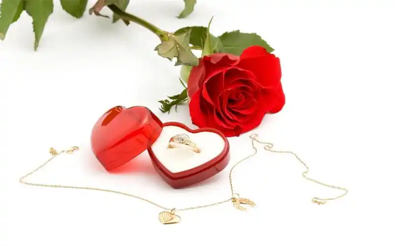 娇艳欲滴的浪漫幸福火红玫瑰花高清桌面壁纸(二)