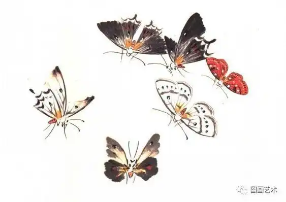 图文教程:怎样画写意蝴蝶