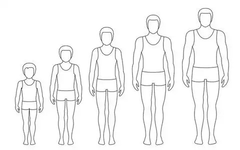 老龄化概念.例证以不同的人的年龄从婴孩到成人.欧式男装平型照片