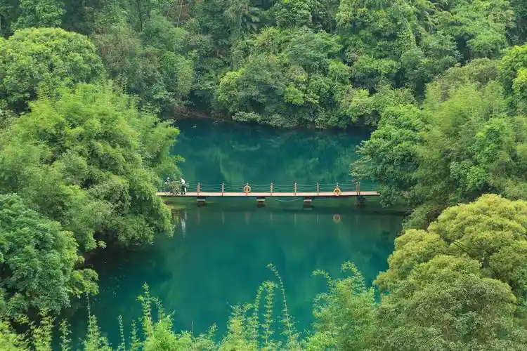 国际旅行社转让闲置的北京出境社_管理_情况_注销