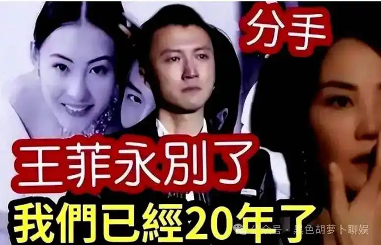 王菲和谢霆锋分手?时隔十一年的重逢怎么会说散就散