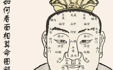 如何看面相算命面相图解大全_面相分析_面相风水学 - 板栗风水网