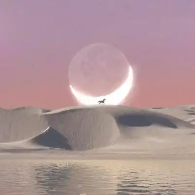 苏瓷:清新意境背景(风景静物 少女_风景静物头像_我要个性网