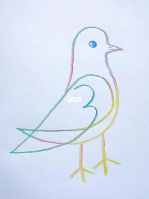 一笔画小鸟