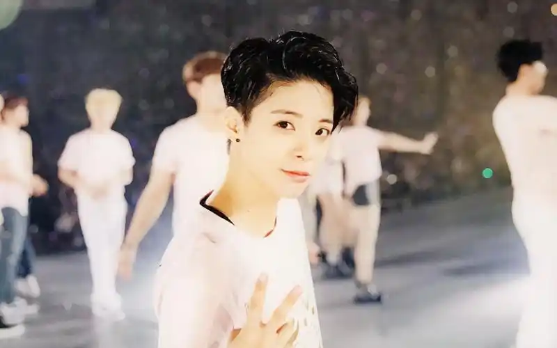 【中英字幕】刘逸云 amber-rogue rouge 中字合集