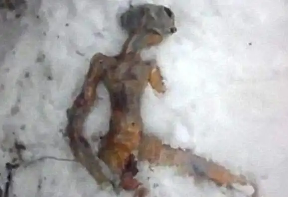 1999年外星人入侵证据1999年保密协议是什么