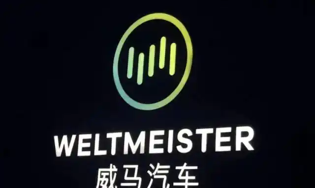 定位尴尬,夹缝求生,威马能靠上市"续命"吗?-新浪汽车