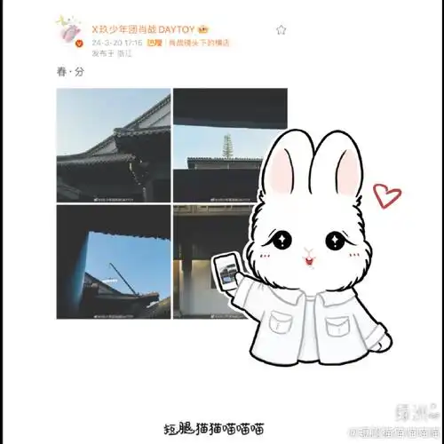 是一只会和你分享春天的小兔子7815#肖战#绿洲