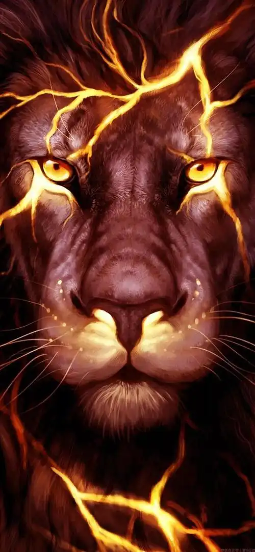 超有范高清全面屏壁纸:风景,动漫,花