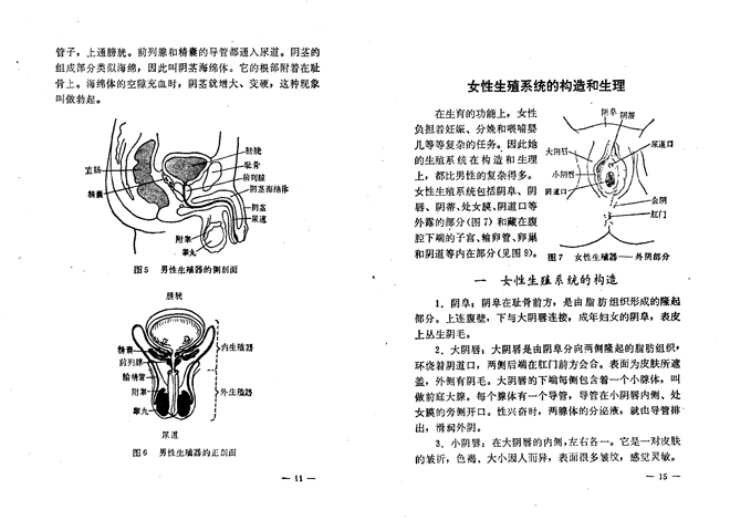 《性的知识》1980年版,曾被删除的插图恢复了