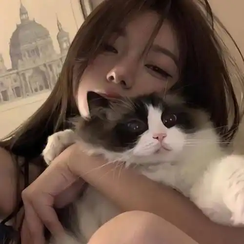 头像你会喜欢的微信头像