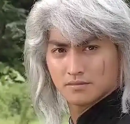 图中华英雄何家劲版国语显英豪被观众称为永远的华英雄