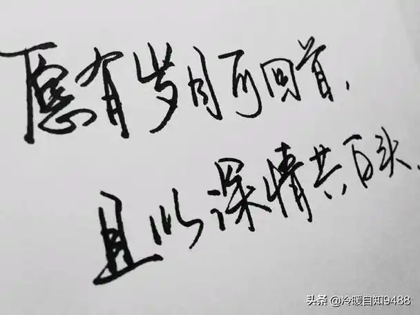 敬自己一杯酒,您最想对自己说什么? - 头条热点 - 网创网