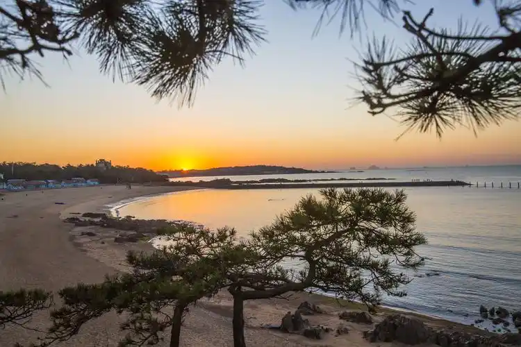 旅游:青岛八大关美景一览