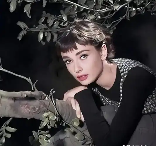 影响了无数人电影审美观的一代影后——奥黛丽·赫本