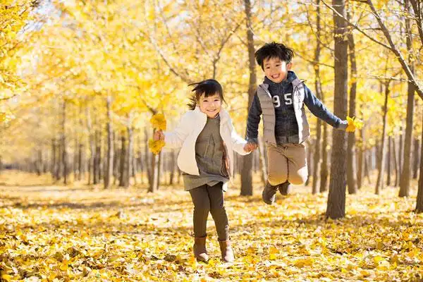 两个小孩在秋日的树林里嬉戏