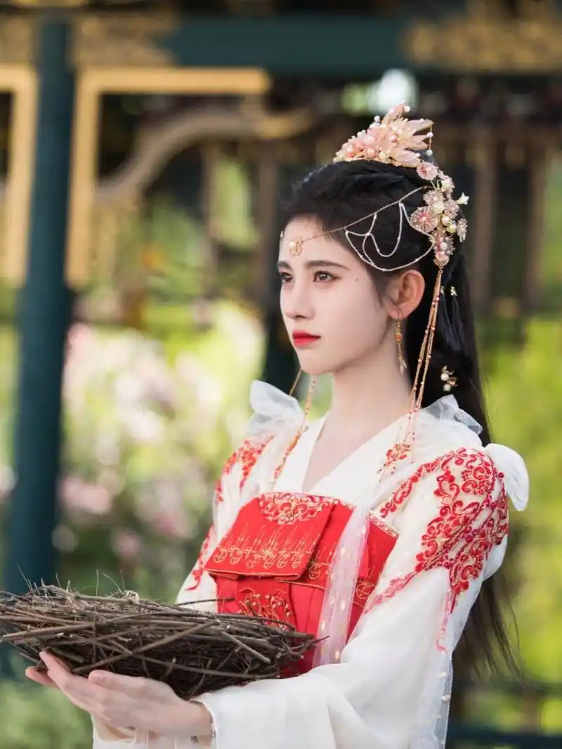 鞠婧祎古风《嘉南传》图片