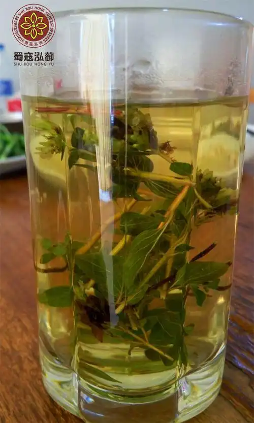 500g整根四川香龙草香炉茶整根香炉草香笼草整株香浓茶 香露茶