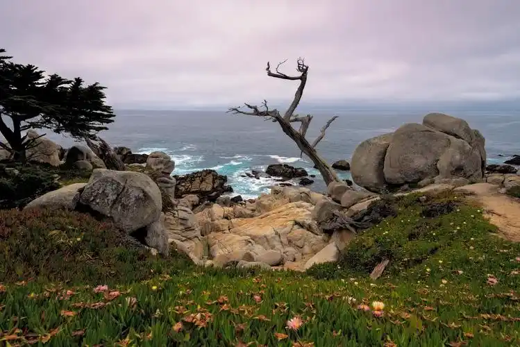 美国西部的自然风光图片高清原图查看