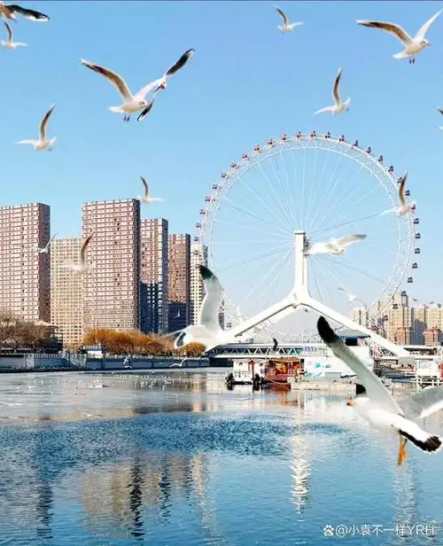 天津之眼你来过吗?