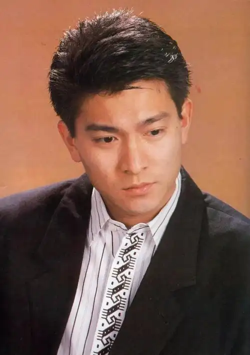 既见君子云胡不喜盘点九十年代美男子