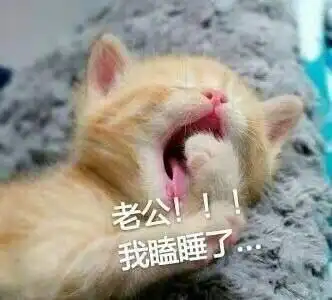 抖音喊老公表情包有哪些可爱猫咪喊老公撒娇表情包分享