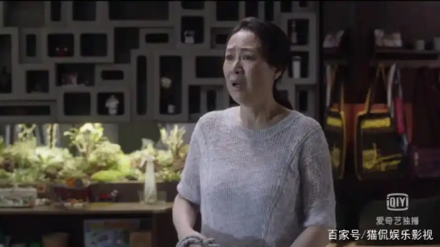 在《小舍得》这部剧中,心机最深,段位最高的非蔡菊英莫属.