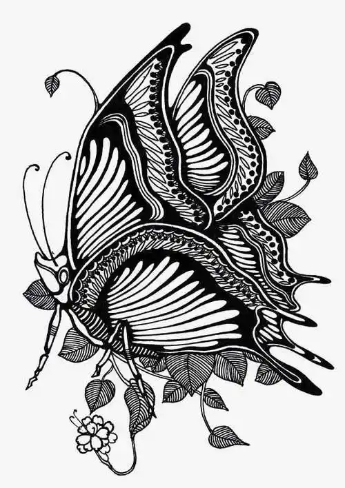 黑白线条稿蝴蝶免抠素材免费下载_觅元素51yuansu.com