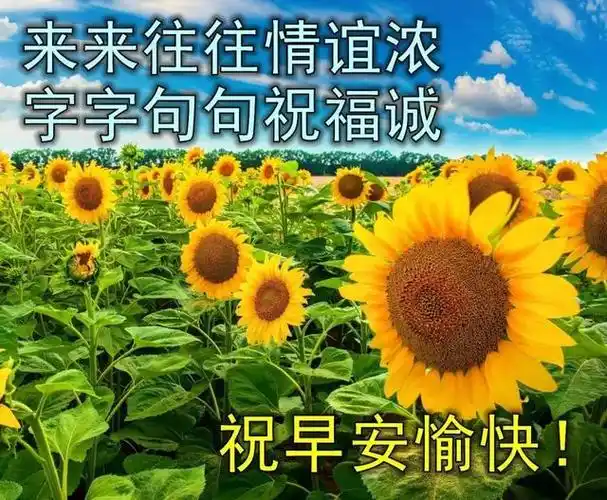 最新大家早上好图片带字 最漂亮早上好图片带字