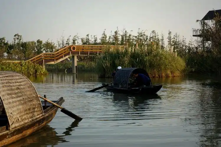 乌篷船,一袭烟雨枕江南